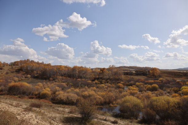 秋季草原树木素材图片下载