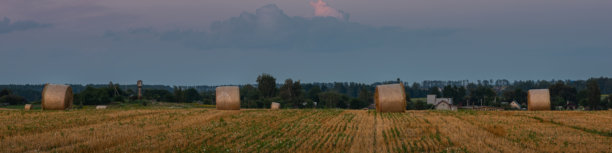 夏日田园风光。宽阔田野里，田埂上散落着圆形的草垛，远处是村庄。宁静的傍晚乡村景象。宽屏全景照片，宽高比为 20:5。图片下载