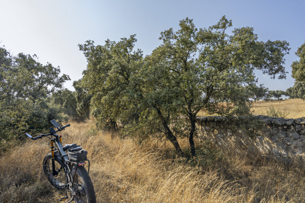 配备了助力骑行电机的山地自行车 01图片下载