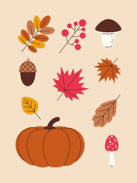 秋季套装。秋天的馈赠。矢量彩色插画。图片下载