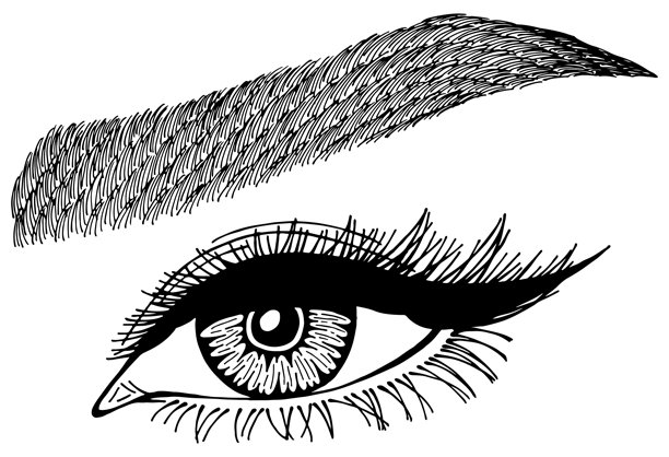 眼睛、睫毛和眉毛的女性插画图片下载