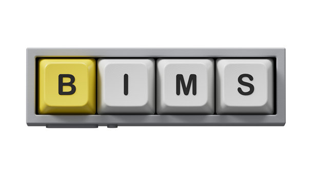 BIMs词汇概念。电脑键盘按键。电脑键盘按键特写，商业概念。绿色屏幕上的3D渲染，用于素材和剪切路径。图片下载
