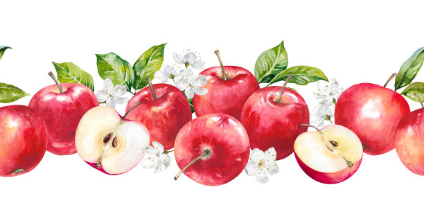 带有新鲜绿叶和春日鲜花的苹果。成熟多汁的红色水果和切半的描绘，手绘水彩插画，孤立在白色背景上。多彩的无缝边框，用于收获设计、印花、横幅。图片下载