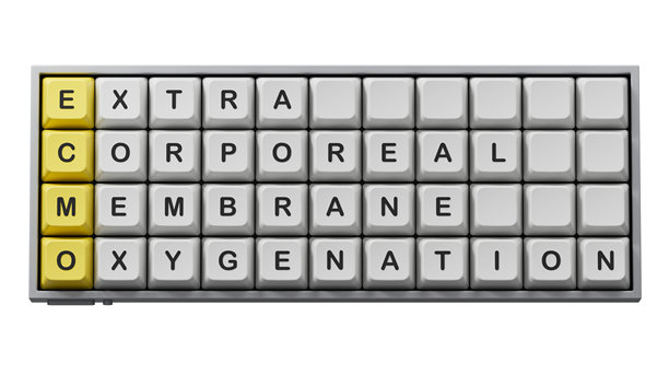 ECMO（体外膜肺氧合）概念词，在立方体和积木上。电脑键盘按键。复制空间。绿色屏幕上的3D渲染，用于素材和剪切路径。图片下载