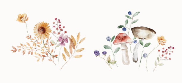 水彩插画，花束，包含大丽花、蘑菇、叶子和三色堇。舒适的秋季设计。质朴风格的奇幻复古元素，适用于邀请函、社交媒体和海报。图片下载