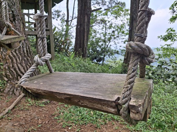 松林公园区域内，一张秋千的特写照片，它由绳索连接，具有美学设计图片下载