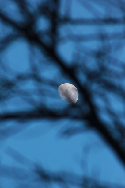 蓝天背景下的月亮特写照片图片下载