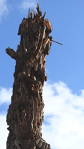 仙人掌骨架水彩照片图片下载