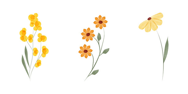 环保宣传信息图插画用写实水彩花卉素材图片下载