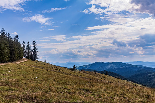 风景，森林，喀尔巴阡山，欧洲自然照片，东欧图片下载