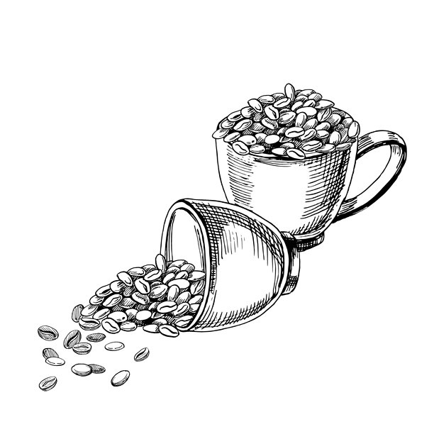两杯咖啡和咖啡豆。写实的咖啡主题矢量插画，适用于咖啡店室内装饰、菜单设计、包装、厨房配件和纺织品。图片下载