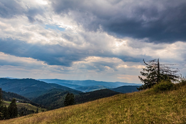 风景，森林，喀尔巴阡山，欧洲自然照片，东欧图片下载