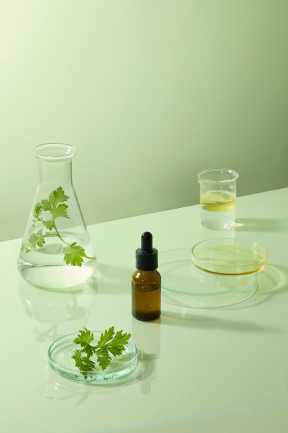 棕色滴管瓶旁边放着艾草叶和透明烧瓶，风格为护肤化妆品摄影，含有天然草本成分。化妆品精华液瓶子的模型，留有设计空间图片下载