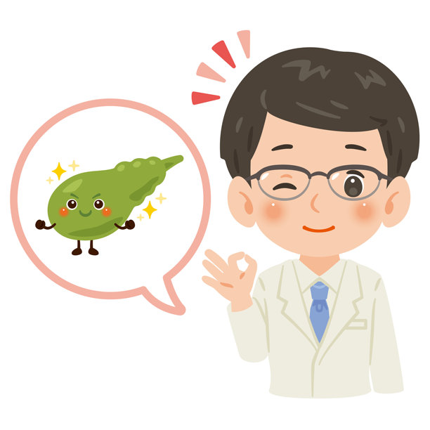 身穿白大褂的男性医生与健康的胆囊卡通形象上半身插画图片下载