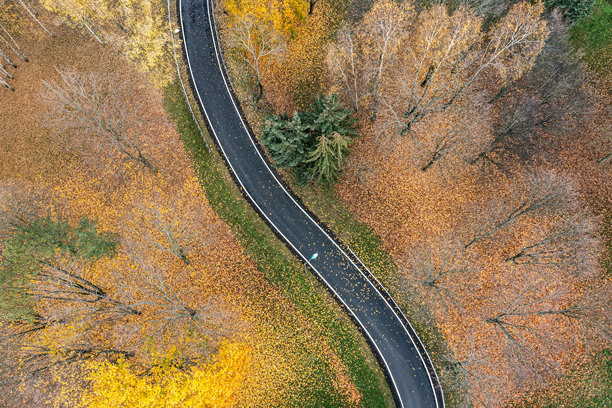 秋季公园里蜿蜒的自行车道，光秃秃的树木和地上五彩斑斓的落叶。航拍照片，俯视视角。图片下载