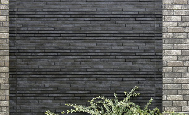 外墙与植物背景素材图片下载