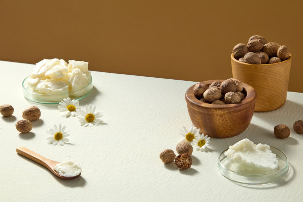 米色背景上天然摆放的乳木果油、坚果、洋甘菊和木勺，营造出健康、水疗和护肤原料使用的感觉。图片下载