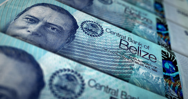 伯利兹元纸币的3D插画印刷图片下载