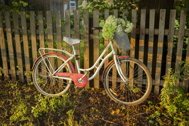 一辆老式粉白色自行车，车把上的篮子里装满了茂盛的绣球花束，停在一处木栅栏旁，复古风格，正面视角，侧面视角图片下载
