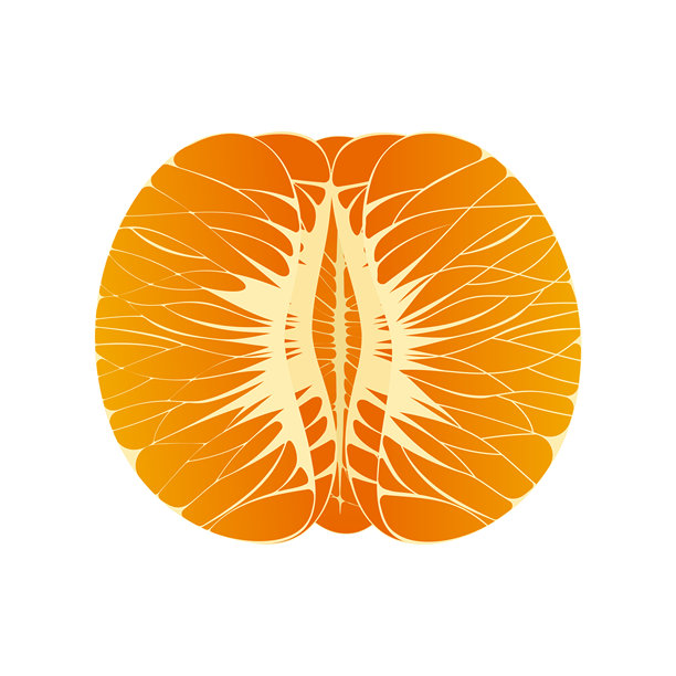 半个橙子水果插画元素图片下载