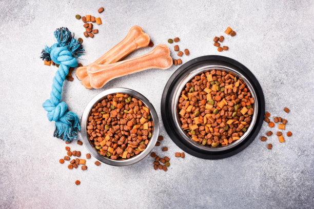 灰色纹理背景上的宠物食盆和干粮。工作室照片。图片下载