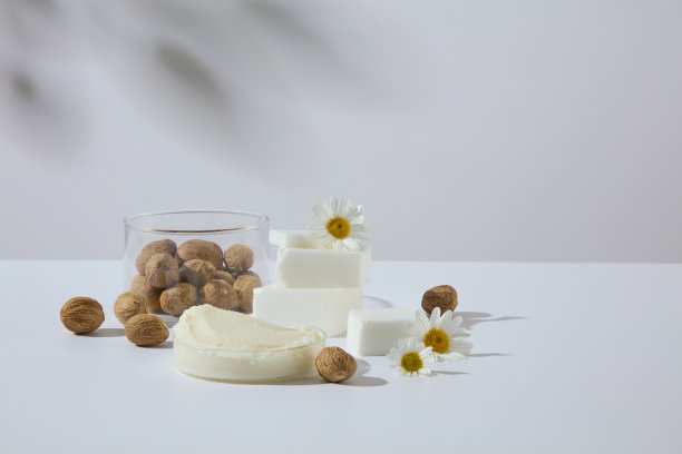 极简风格的乳木果油块、乳木果和洋甘菊照片，背景为浅色，留有化妆品设计放置空间。广告照片图片下载