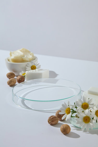 特写竖构图，展示盛放着乳木果油、洋甘菊和坚果的玻璃器皿，突出纯净的化妆品成分，适用于天然护肤品设计。留有产品展示的空白空间。图片下载