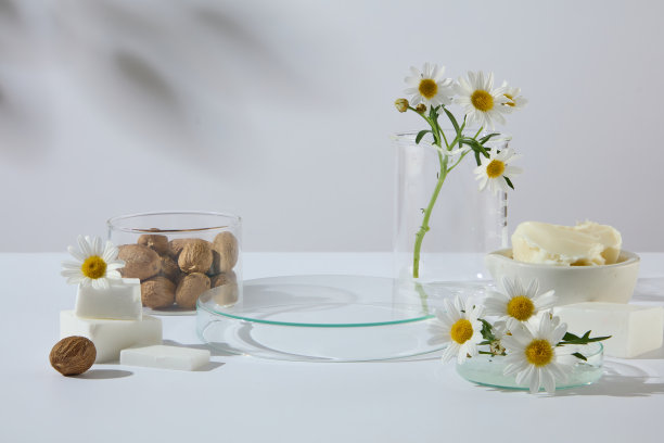 洋甘菊、乳木果油和坚果的静物组合，置于柔和的自然阴影中。专为自然健康和护肤理念设计。图片下载