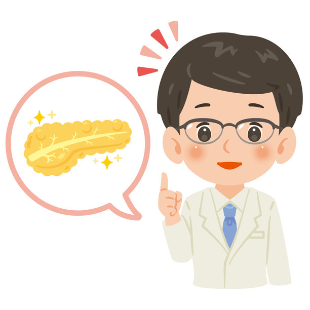 身穿白大褂的男医生与健康的胰腺，上半身插画图片下载
