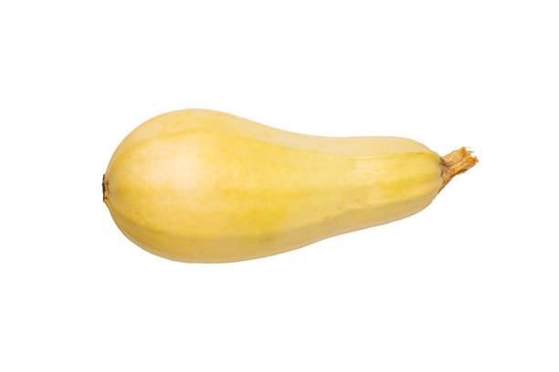 白色背景上的黄色冬南瓜：新鲜有机蔬菜图库照片图片下载