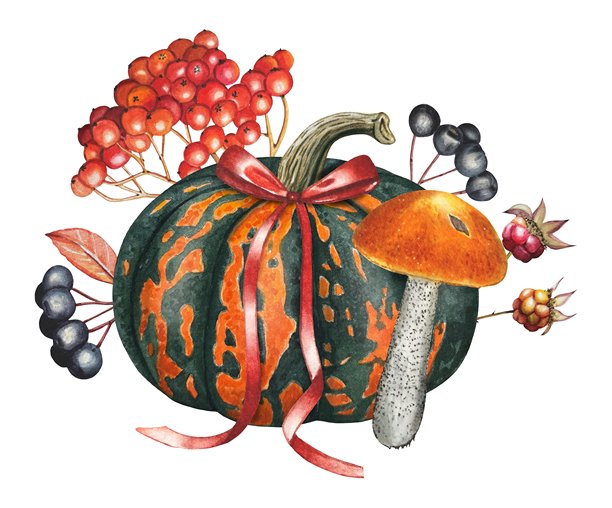 手绘的丰收、南瓜、蘑菇和浆果组合。水彩插画。图片下载