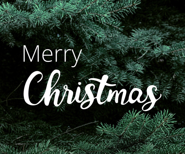 一张以圣诞节为主题的祝贺照片图片下载