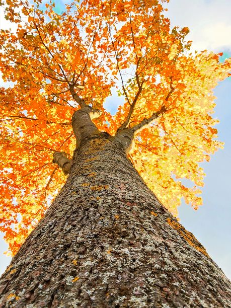 德国北部自然与风景照片图片下载