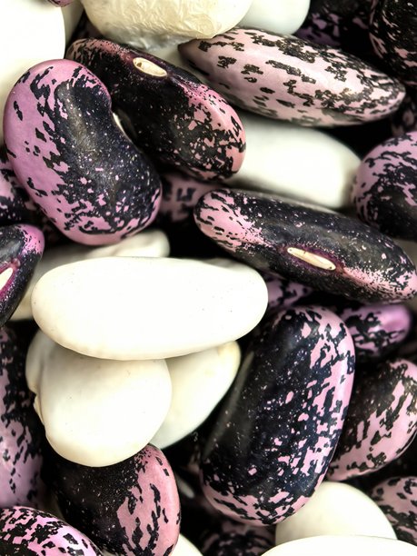 豆子，豆子纹理，蔬菜纹理，用于背景，用于屏保，蔬菜，宏观豆子，宏观蔬菜，明亮的蔬菜，收获，蔬菜的美丽照片图片下载