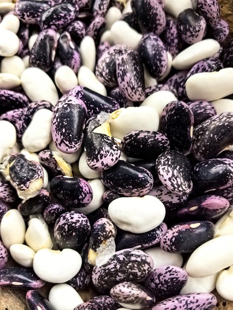 豆子，豆子纹理，蔬菜纹理，用于背景，用于屏保，蔬菜，豆子特写，蔬菜特写，鲜亮蔬菜，丰收，漂亮的蔬菜照片图片下载