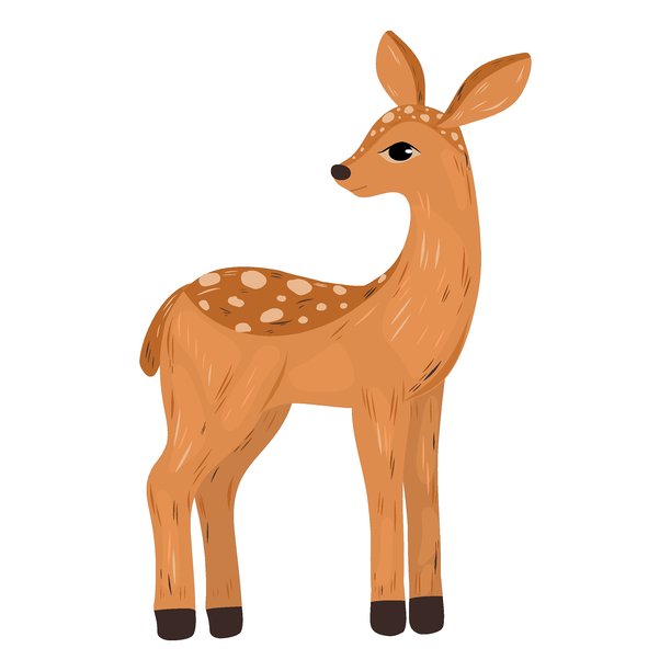 站立的鹿在白色背景上的插画，手绘详细的林地母鹿矢量插画。可爱的动物图片下载