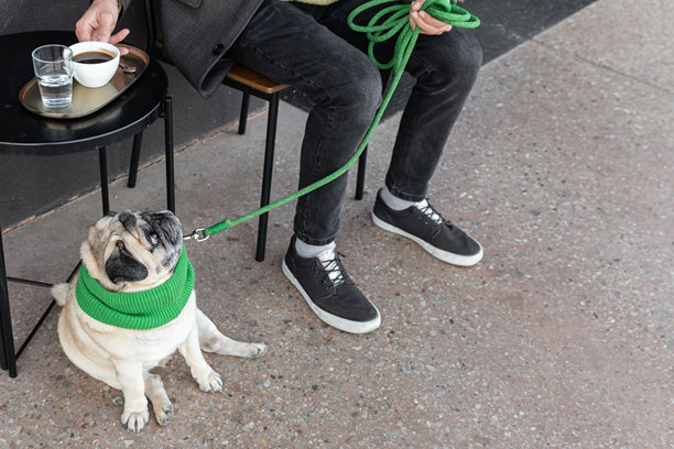 一个男人坐在一张户外咖啡馆的桌子旁，旁边有一只巴哥犬，拴着绿色的牵引绳，脖子上戴着配套的围巾。这张照片象征着陪伴、放松以及城市生活与人宠连接的平衡。图片下载