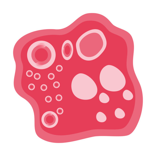 沙眼衣原体矢量图。矢量插画描绘了包括巨噬细胞和肥大细胞在内的人体免疫细胞，展示了免疫系统的生物学以及免疫学中的单核细胞类型。图片下载