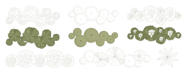 用于建筑配景和城市规划的树木组。各种树木、灌木和矮树，俯视图，用于景观设计图。矢量插画。图片下载