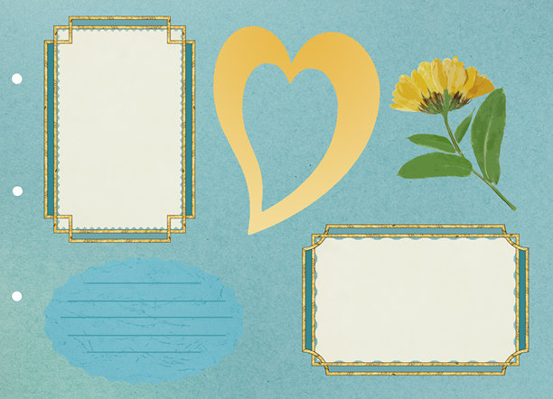 故事页面。带有花卉元素和相框的剪贴簿构图。植物标本，万寿菊。带有空相框的照片集布局。旧相册的一页。图片下载
