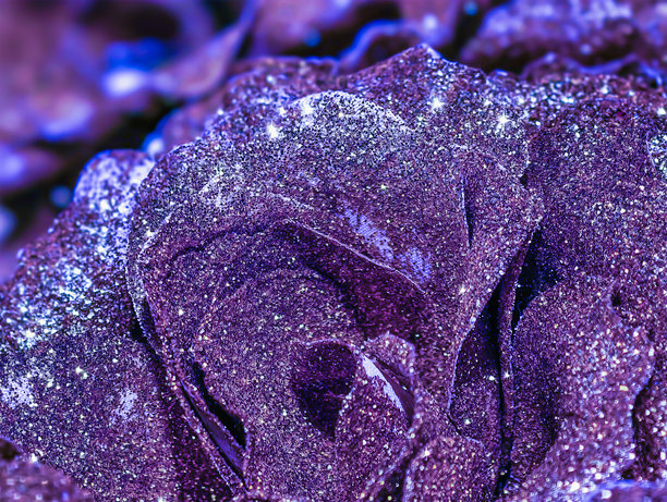 神秘的紫色闪光玫瑰微距：闪耀的紫罗兰花瓣，适用于奇幻艺术、浪漫设计和奢华品牌形象。抽象背景图片下载