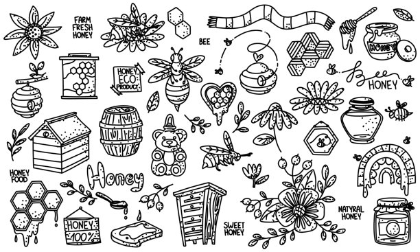 一套关于蜂蜜和养蜂的涂鸦、点状图案。罐子、蜂蜜、蜂巢、蜂箱。有趣的蜜蜂、花朵、向日葵。来自有机生态农场的鲜活产品花束。单色插画图片下载