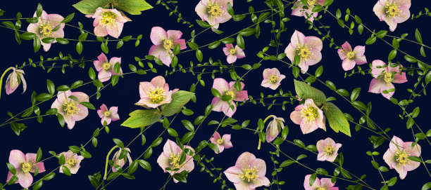 深海军蓝色背景上，由真实花卉照片组成的细腻粉色花朵和绿色藤蔓无缝图案，长幅横幅图片下载