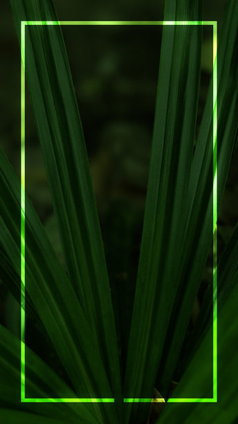 特写，竖幅广告图片，一个充满活力的浅绿色发光矩形边框环绕着深色、纹理背景，点缀着绿色细长叶片图片下载