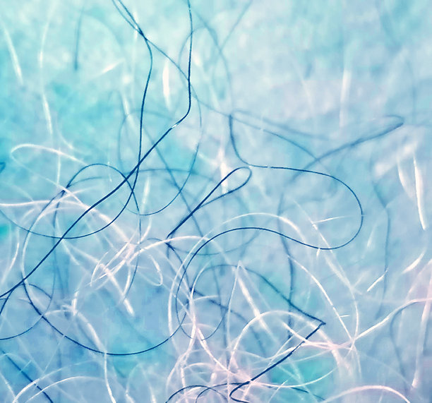 纤维素材图。蓝色背景上的纤维素材图。黑白卷发微距素材图。抽象蓝色背景素材图图片下载