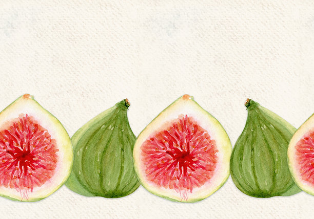 无花果水彩无缝边框，完整水果，切片隔离在白色背景上。手绘插画图片下载