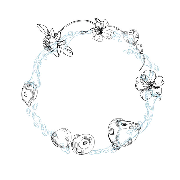 甜樱桃樱桃在水溅滴中飞舞，手绘矢量墨水，线条花园浆果，白花绿叶。圆形花环相框插画。餐厅咖啡馆菜单，农贸市场，婚礼图片下载