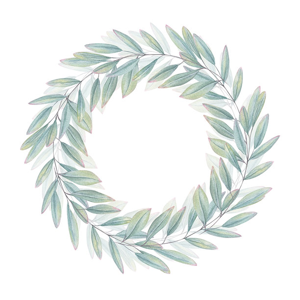 柔和色调的桉树长叶水彩画，背景为孤立的白色。手绘蓝绿色叶片植物画框，留有文字复制空间。用于婚礼文具的花卉插画。图片下载