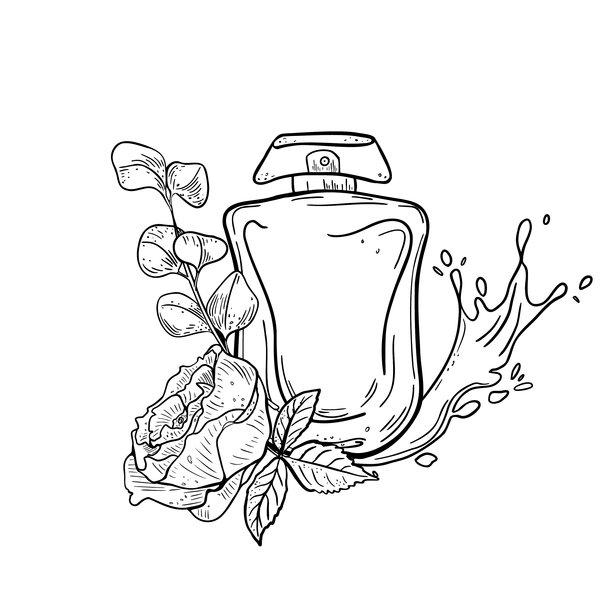 专为妇女节设计的优雅香水矢量插画。手绘轮廓瓶身，搭配花束与水元素。黑白绘画风格，适用于女性问候语和礼品包装。图片下载