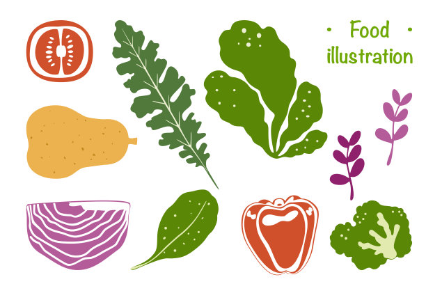 各种新鲜蔬菜插画集，包括西兰花、胡萝卜、南瓜、甜菜和绿叶蔬菜。明亮、现代的矢量风格，非常适合健康食品设计、菜单和信息图表。图片下载